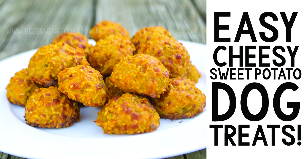 Check out these DIY easy cheesy sweet potato dog treats!